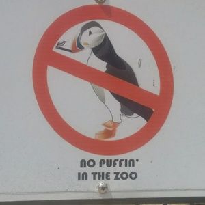 Meet your Posher, Kevin